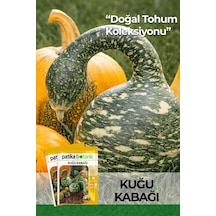 5 Adet Kuğu Kabağı Çiçek Tohumu Lagenaria Siceraria