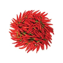 250 Adet Tohum Eko Paket Şili Biberi Tohumu Çok Acı Chili Biberi Tohumu Organik..
