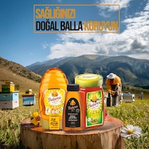 Balarısı Akıllı Kapak Çiçek 500 G + Çam Bal 460 G + Premium Bal 350 G