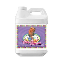 Advanced Nutrients Tasty Terpenes 250 Ml Bitki Verim Arttırıcı 250 ML