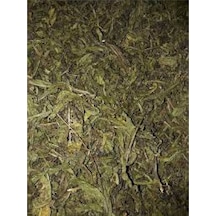 Derya Eren Yapışkan Andız Otu Manisa 250 G