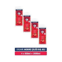 Le Petit Marseillais Akdeniz Çileği Banyo Ve Duş Jeli 650 Ml X 4 İştah Açıcı Koku Ve Nazik Temizlik Diğer