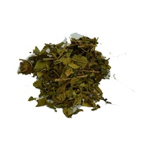 Cinnema Gurmar Otu Gymnema Sylvestr 100 Gr Paket