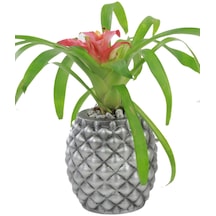 Çiçek Saksısı Büyük Boy 1 Adet Ananas Model - Gümüş Eskitme