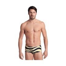 Arena Multi Stripes Erkek Siyah Yüzücü Mayosu 007238510 Çok Renkli Çok Renkli