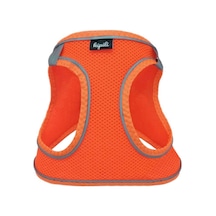 Üç Kilitli Sportif Kedi Köpek Göğüs Tasması 24-28 Cm Xx-small Tcu Çok Renkli
