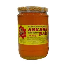 Atatürk Orman Çiftliği Ankara Süzme Çiçek Balı 850 G