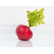 Kırmızı Iri Turp Tohumu Kırmızı Turp Tohumu 50 Adet Tohum