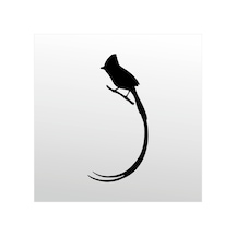 Folyo Sticker Hint Bülbülü 60cm Uzunluk Siyah