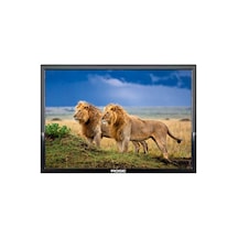 Rose CM-119 19" 49 Ekran 12V Full HD Karavan LCD Monitör TV
