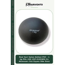 Özel Seri Salon Güllesi Pvc - 1 Kg Pgl-100 Isp-010swr Ev Aksesuarı Süs Eşyası Oda Süsü Çok Renkli