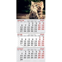 2026 Yılı Gemici Takvimi- Tatlı Yavru Kedi
