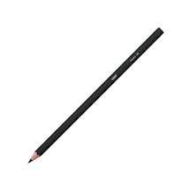 Bic Kids Tropicolor Kuru Boya Kalemi 24 Renk Çok Renkli