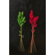 Pembe - Yeşil