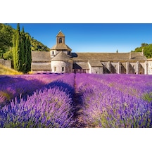 Castorland 1000 Parça Puzzle Lavender Field İn Provence