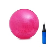Ayla Stand 65 Cm Pilates Topu, Pembe, Pompa Dahil