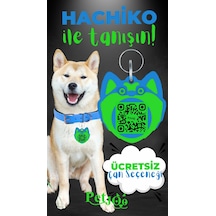 Petjoo 19.Hachiko Yeşil-Mavi Qr'lı Köpek Künyesi