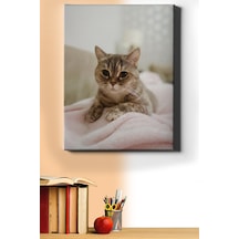 Webstyle Sayılarla Boyama Seti Kasnaklı Minik Kedi 1 60x75 Cm
