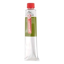 Art Creation Yağlı Boya 200 Ml 623 Sap Green Diğer