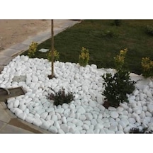 Ekodoğa Beyaz Dolomit Taş, 50 Kg, 2,5-4 Cm, Bahçe Taşı, Dekoratif Taş