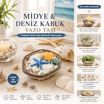 Küçük - Kare - Ahşap Sepetli Renkli Mix Midye - Deniz Kabuk Vazo Taşı 5477