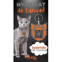 Petjoo 2.Nyan Cat Turuncu-Gri Qr'lı Kedi Künyesi
