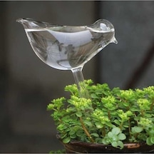 Pazly Evde Otomatik Cam Kuş Sulama Makinesi - Kullanışlı Ve Dayanıklı Bitki Sulayıcı