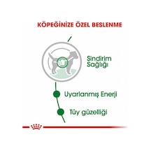 Mini Adult Pouch Yetişkin Köpek Konservesi 12 Adet 85 Gr