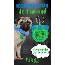 Petjoo 9.Konfüçyüs Yeşil-Mavi Qr'lı Köpek Künyesi