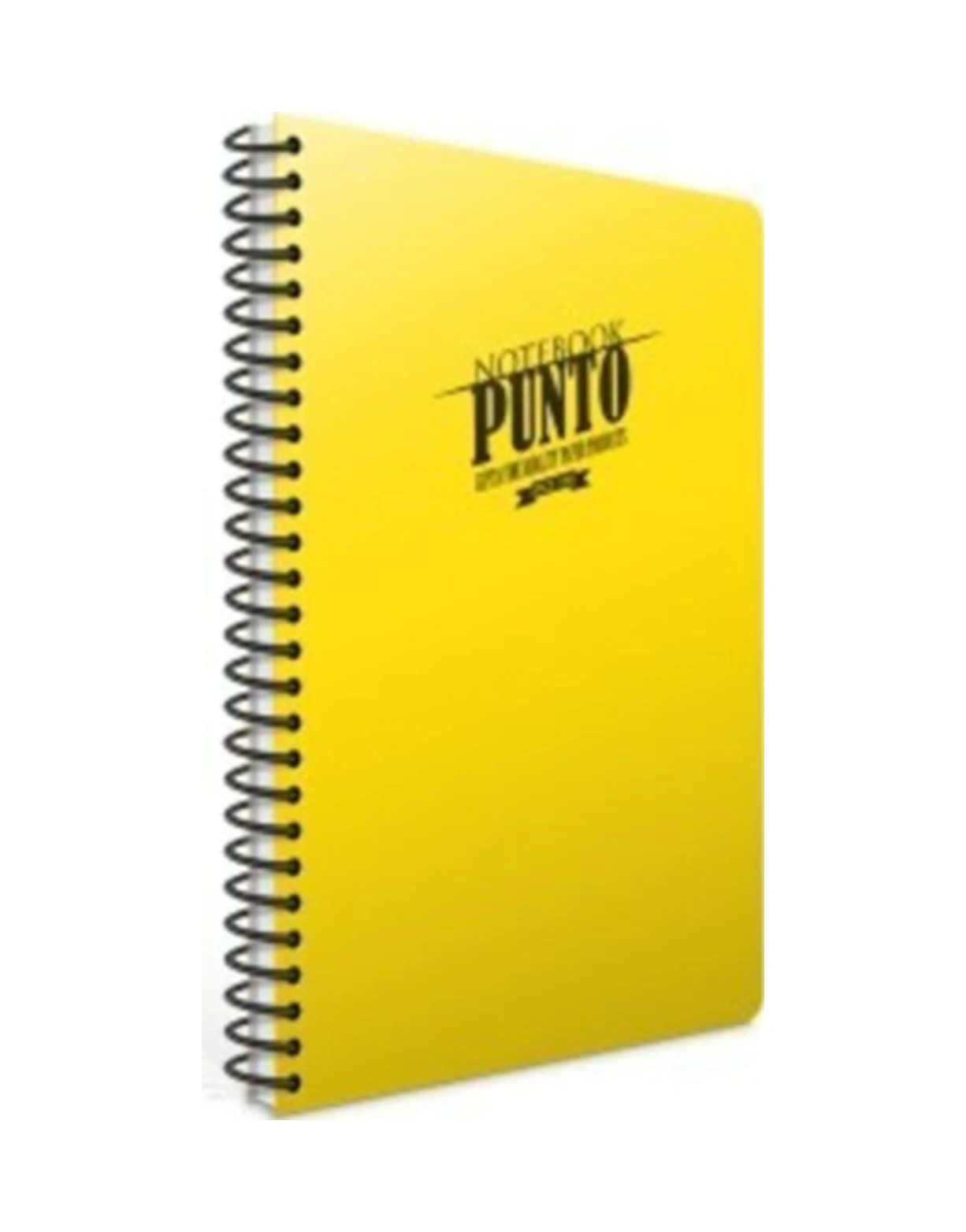 Punto A4 Spiralli Pp Kapak Defter 60 Yaprak Çizgili 4 Lü Paket 6532