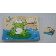Kurbağa Gelişim Evreleri Puzzle