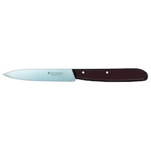 Victorinox 5.0700 10cm Sivri Uçlu Soyma Bıçağı Çok Renkli