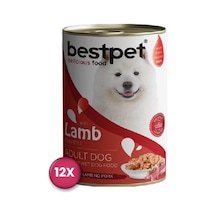 Bestpet Jöle İçinde Parça Kuzu Etli Konserve Yetişkin Köpek Maması 400 Gr X 12 Adet