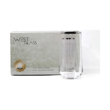 WestGlass W42015LP Allegra Line Desen Platin Kaplama Su Bardağı
