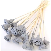 20 Adet Bambu Şiş Saplı Mini Lotus Çiçeği Plant Duman Grisi Gerçek Lotus
