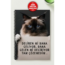 Manidar Kedi A5 Metal Spiralli Çizgisiz Karton Kapak Manidar Kedi Defter Çok Renkli