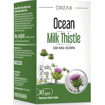 Milk Thistle 30 Tablet 300mg Silbin