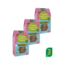 Wefood Kids Organik Keçiboynuzlu Bisküvi 55 gr 3'lü