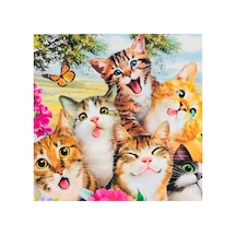 5d Elmas Boncuk Taş Işleme Mozaik Goblen Kit 30x30cm Ms25085 Diamond Painting