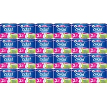 Orkid Ultra Extra Koruma Hijyenik Ped Uzun 24 x 7'li