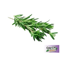 Green Food Garden Taze Biberiye 25 G