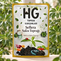 Hg Şeflera Schefflera Toprağı Hg-sef-10l 10 L