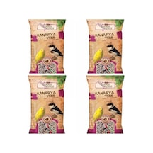 Gold Wings Meyveli Kanarya Yemi 300 Gr X 4 Paket