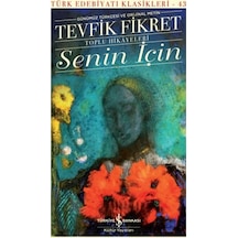 Senin İçin - Toplu Hikayeleri - Günümüz Türkçesi ve  Metin - Tevfik Fikret - İş Bankası Kültür Yayınları