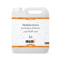 Premium Mum Esansı Okaliptus 5 Litre Şeffaf