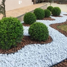 Asenya Dolomit Taş 4 Kg 2-4 Cm Beyaz Dolomit Taş Saksı Dibi Dekoratif Taş Bahçe Süsleme Taşı Peyzaj Taşı