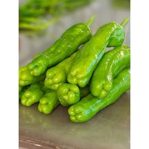 +50 Adet Üçburun Biber Tohumu