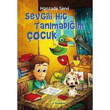 Sevgili Hiç Tanımadığım Çocuk - Hanzade Servi - Tudem Yayınları