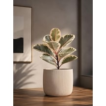 Modern Çizgili Saksı, Beyaz, 12x15 Cm, Masaüstü İç Mekan Dekoratif Çiçek Saksısı Pla 3d Baskı
