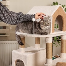Raikou Karamel Kedi Ağacı 3 Katlı Tırmalama Direği Yatak ve Oyuncaklar